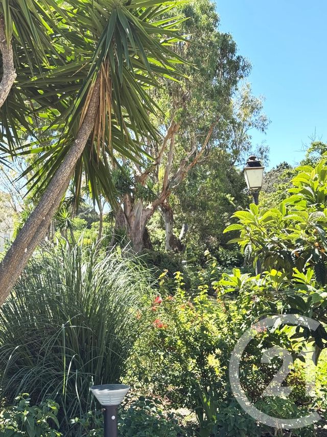 Appartement Studio à vendre - 1 pièce - 25.0 m2 - ST TROPEZ - 83 - PROVENCE-ALPES-COTE-D-AZUR - Century 21 Thomas Thum Immobilier