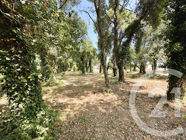 maison à vendre - 10 pièces - 300.0 m2 - COGOLIN - 83 - PROVENCE-ALPES-COTE-D-AZUR - Century 21 Thomas Thum Immobilier