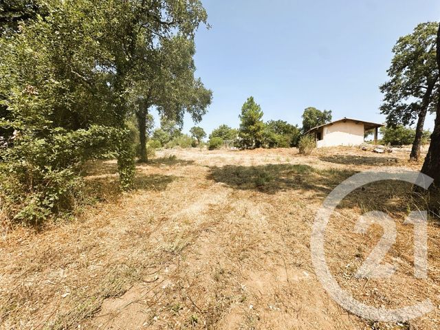 maison à vendre - 10 pièces - 300.0 m2 - COGOLIN - 83 - PROVENCE-ALPES-COTE-D-AZUR - Century 21 Thomas Thum Immobilier