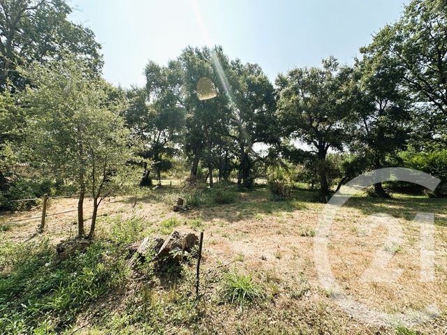 maison à vendre - 10 pièces - 300.0 m2 - COGOLIN - 83 - PROVENCE-ALPES-COTE-D-AZUR - Century 21 Thomas Thum Immobilier