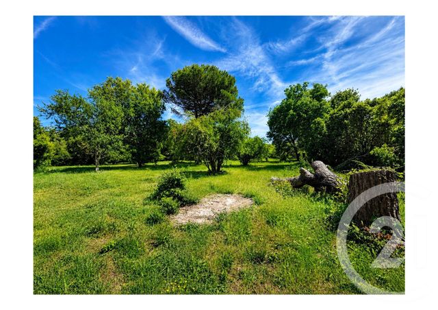 Terrain à vendre ST TROPEZ