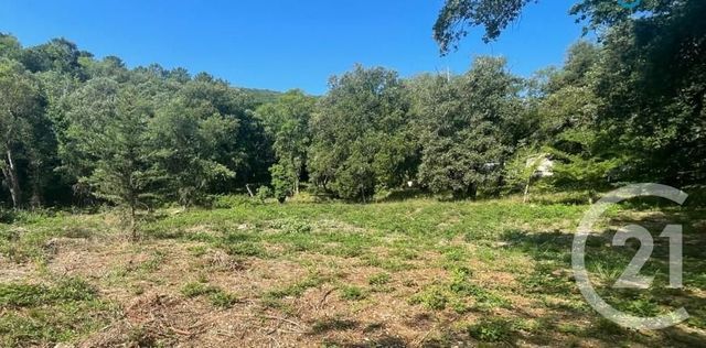 terrain à vendre - 27225.0 m2 - LA MOLE - 83 - PROVENCE-ALPES-COTE-D-AZUR - Century 21 Thomas Thum Immobilier